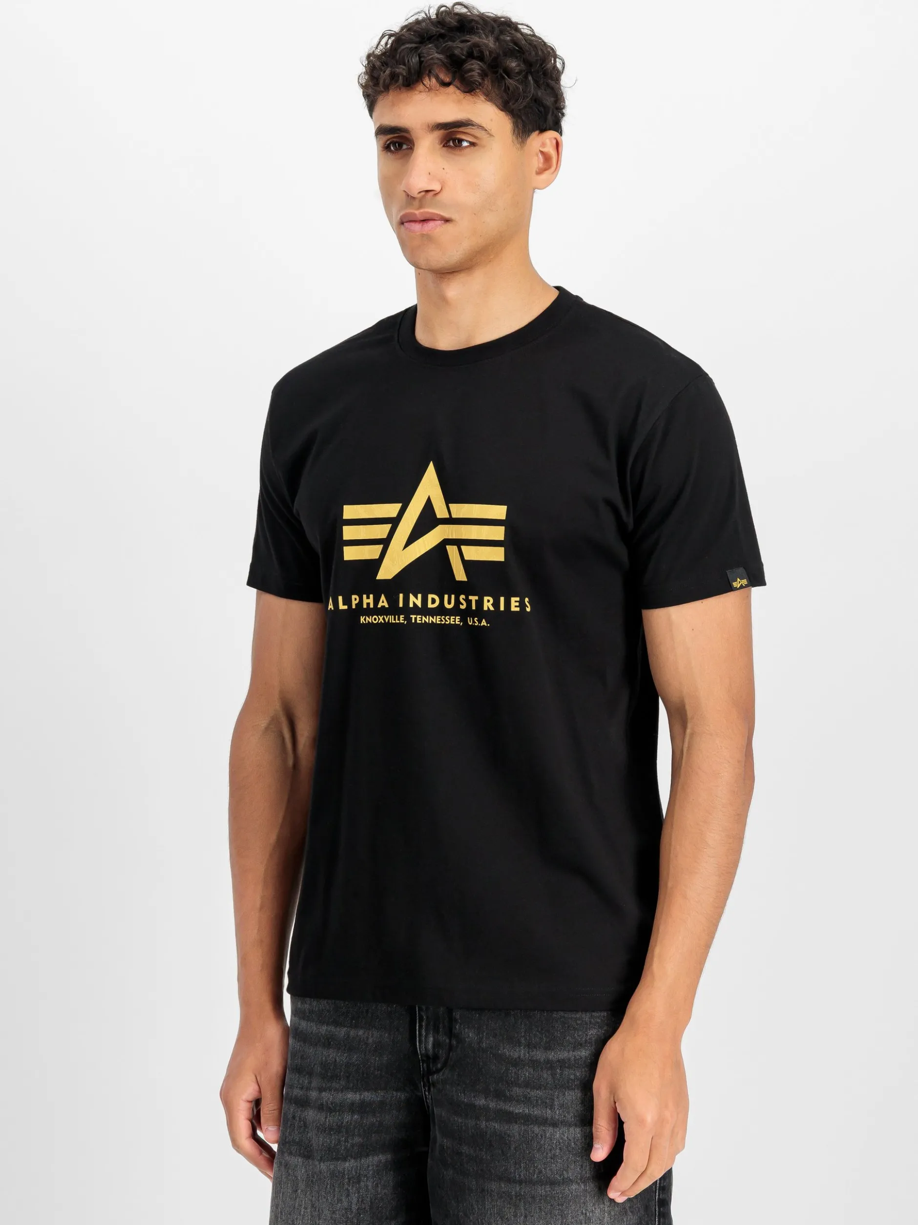 Alpha Industries Herren T-Shirt in schwarz