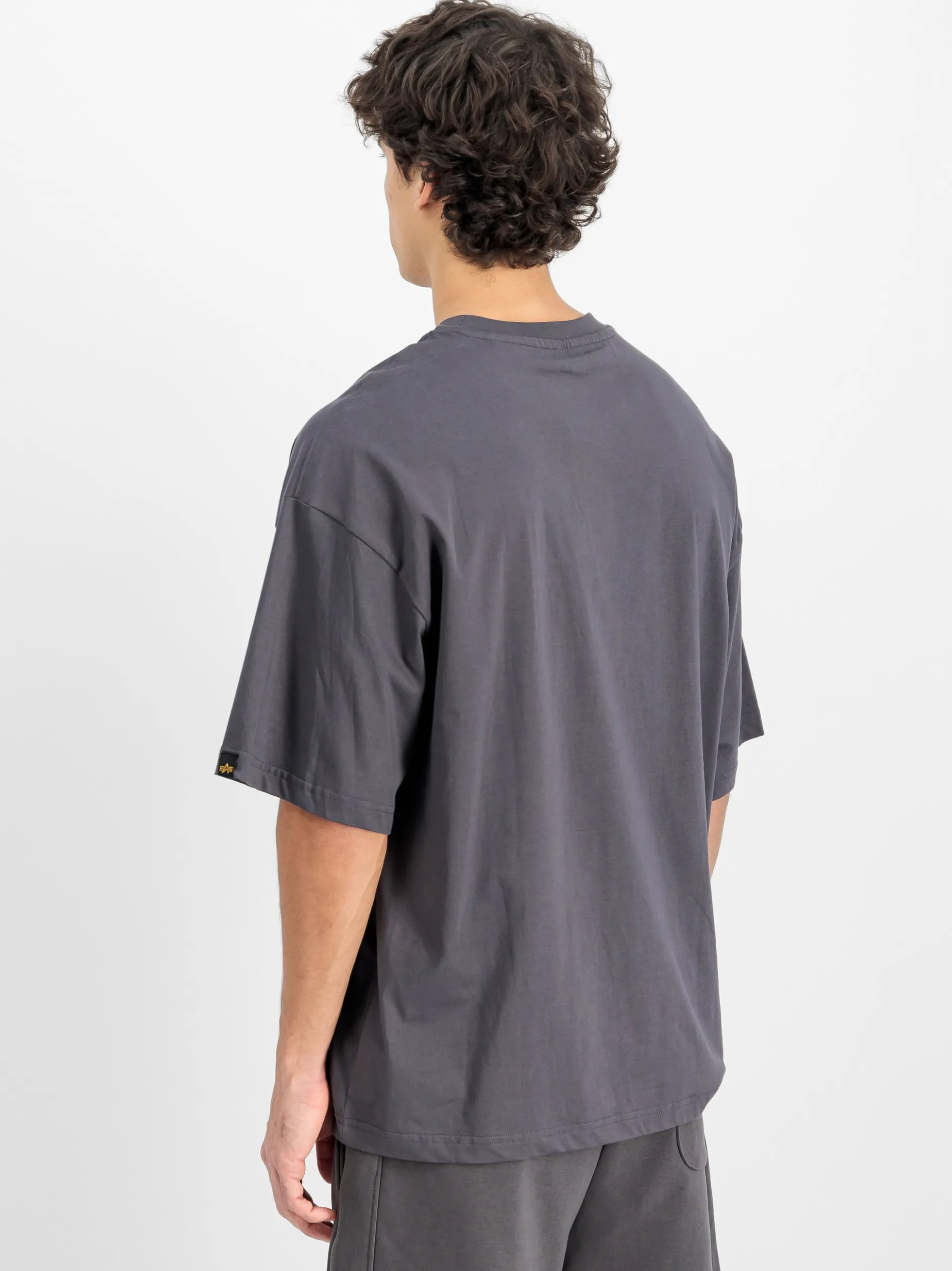 Alpha Industries Herren T-Shirt in grau
