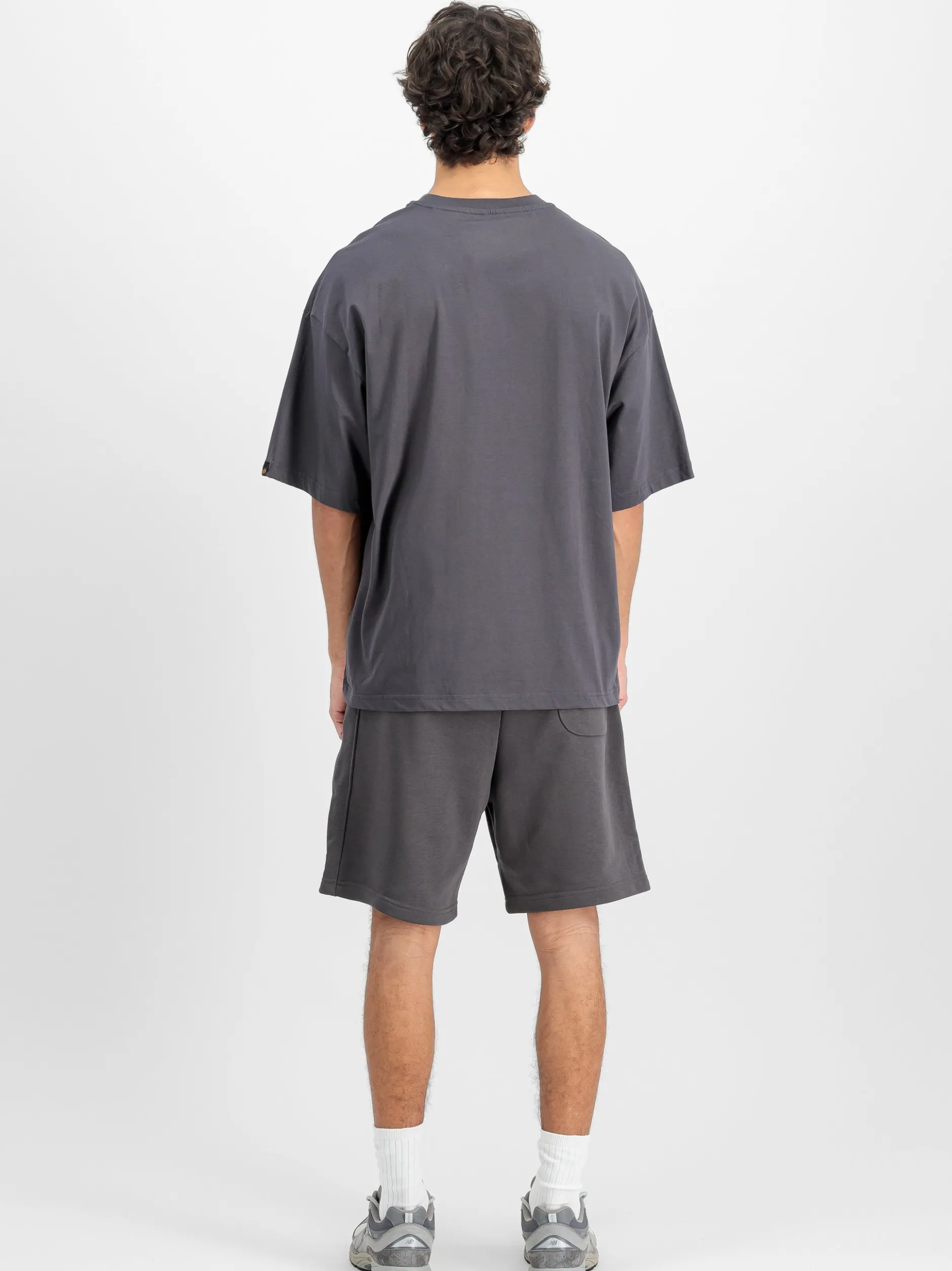 Alpha Industries Herren T-Shirt in grau