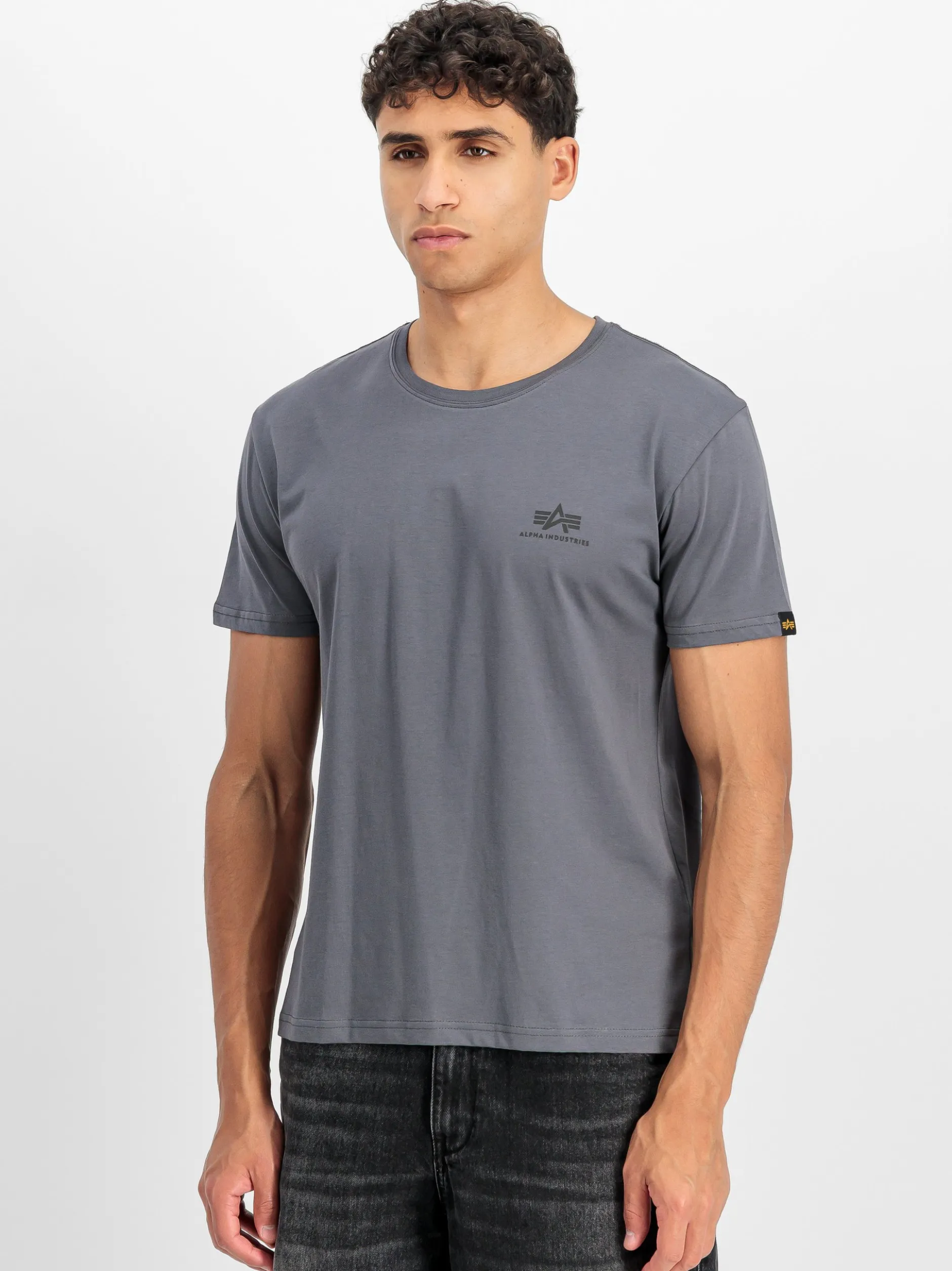 Alpha Industries Herren T-Shirt in grau