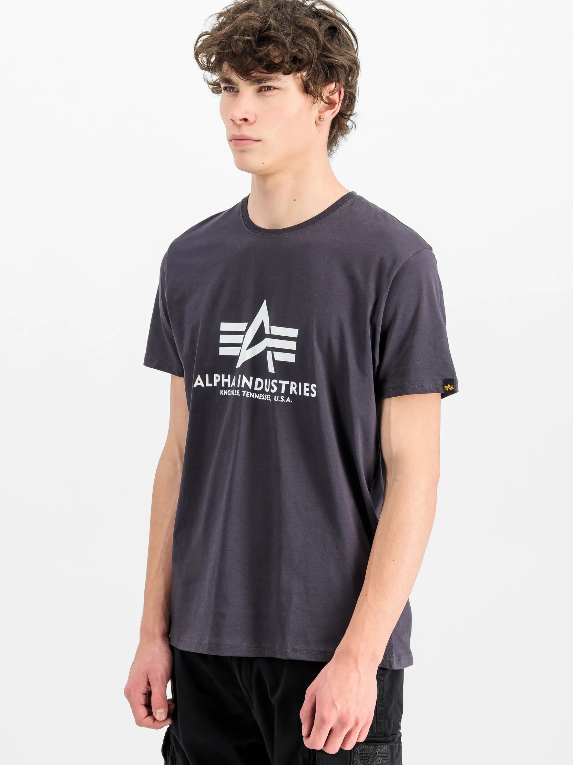 Alpha Industries Herren T-Shirt in grau