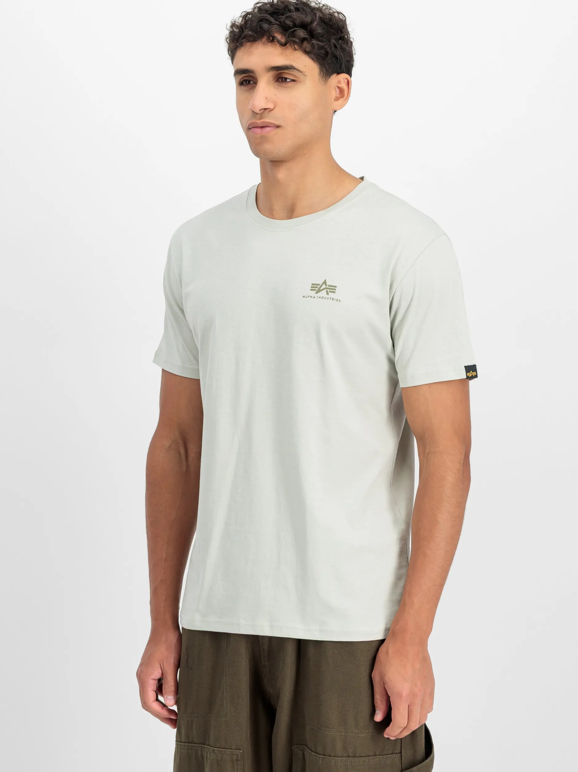 Alpha Industries Herren T-Shirt in grau