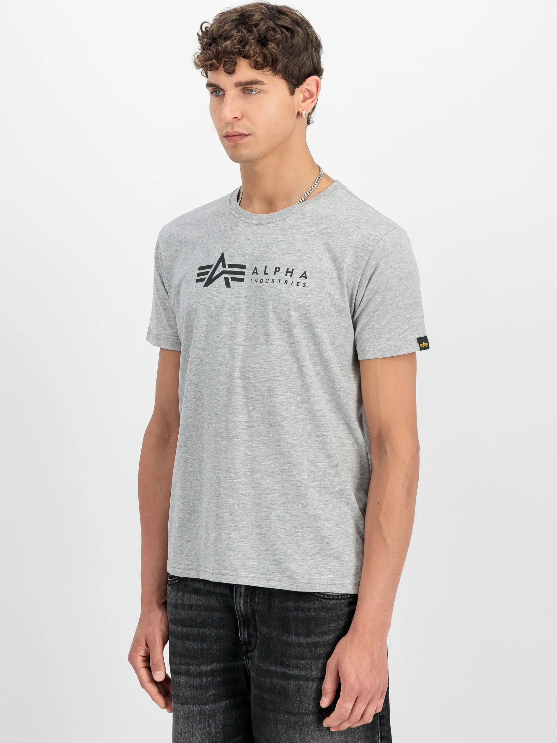 Alpha Industries Herren T-Shirt in grau