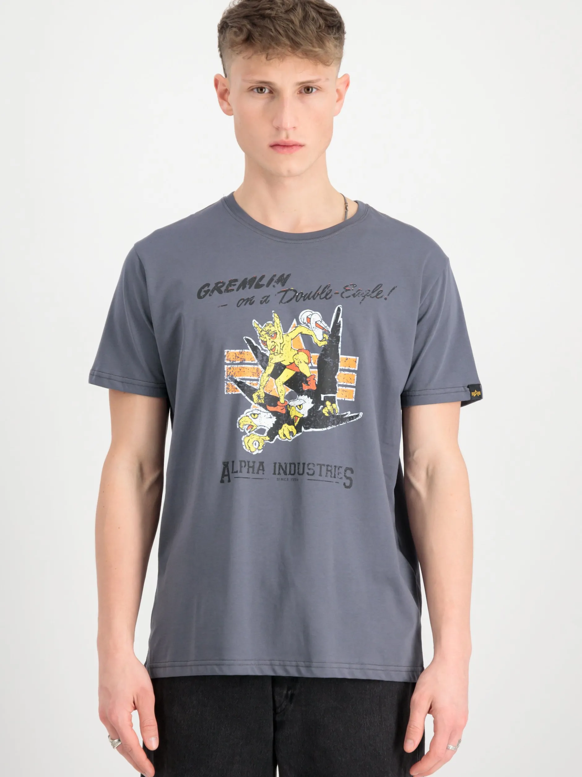 Alpha Industries Herren T-Shirt in grau