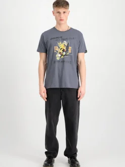Alpha Industries Herren T-Shirt in grau