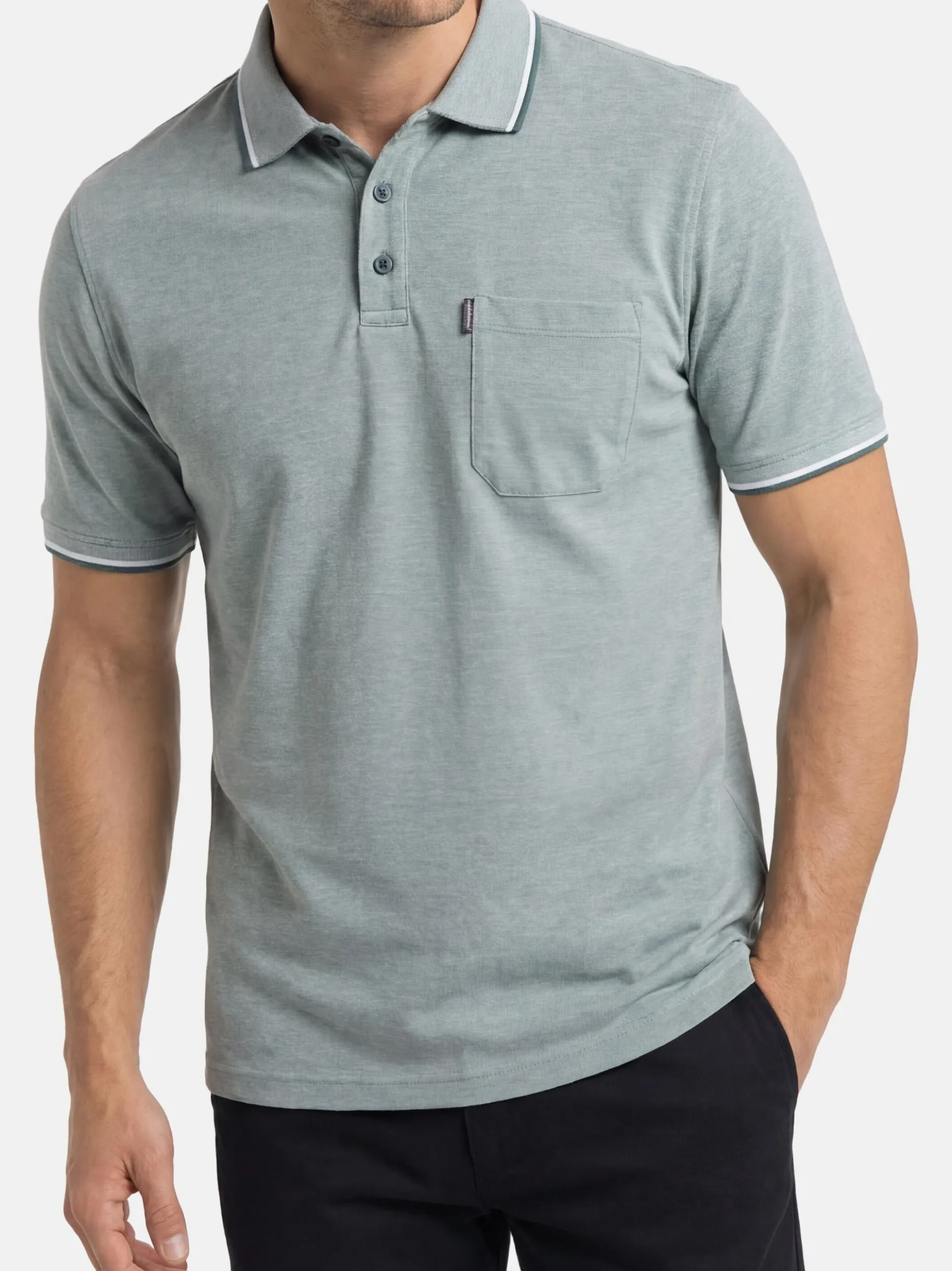CASAMODA Herren Poloshirts im 2er-Pack in grün