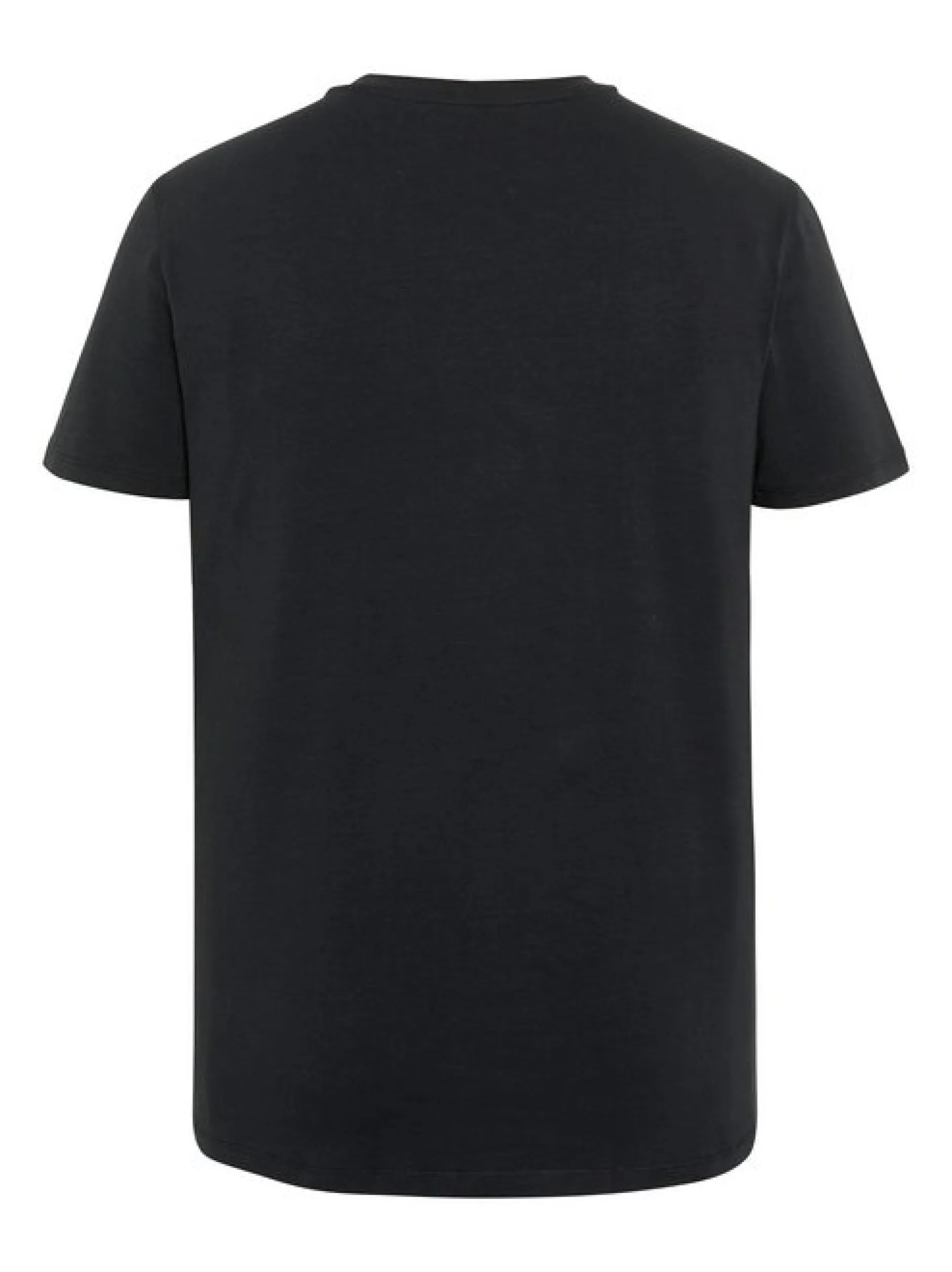 Chiemsee Herren T-Shirt in schwarz - Ärmel: kurzarm
