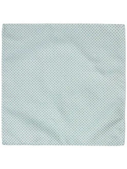 Digel Herren Plastron mit Einstecktuch in lind petrol