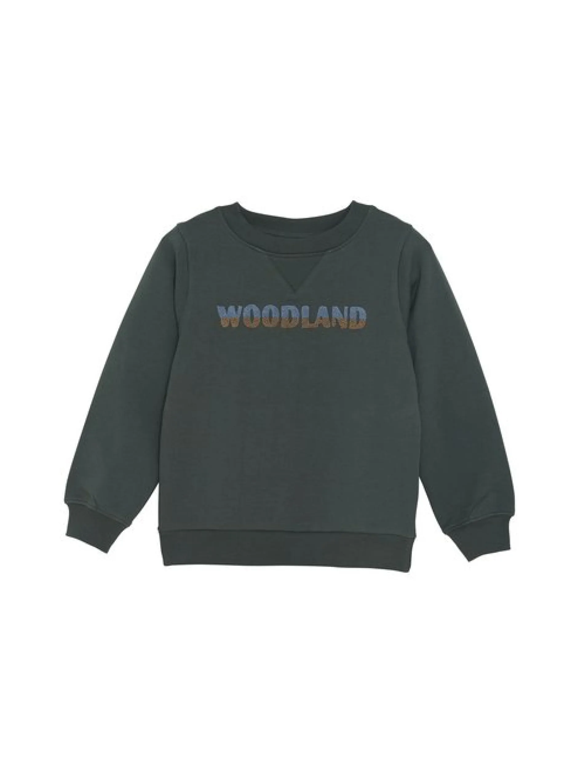 En Fant Jungen Sweatshirt in tanne