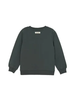 En Fant Jungen Sweatshirt in tanne