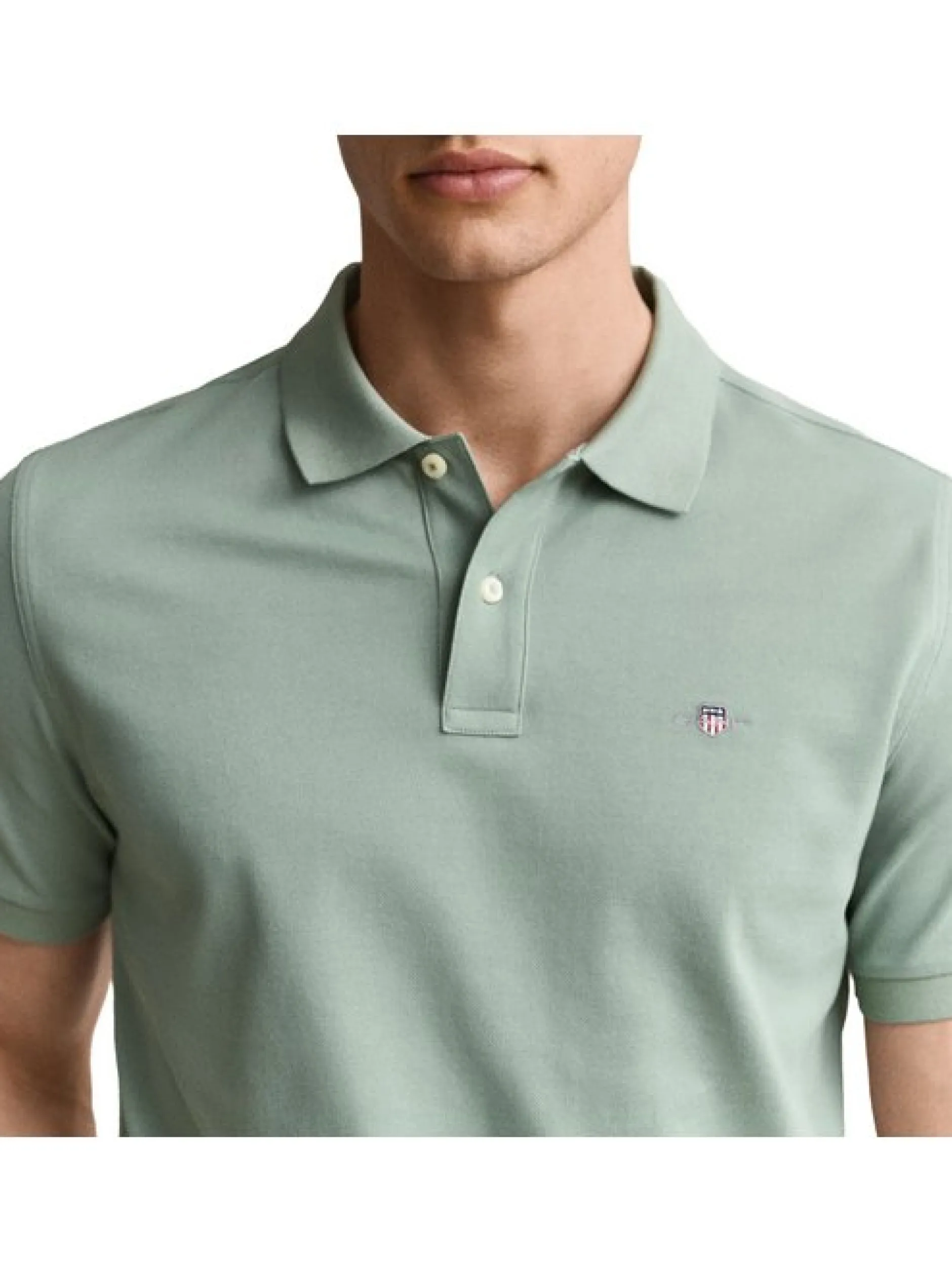 Gant Herren Poloshirt 1er Pack in grün - Ärmel: kurzarm