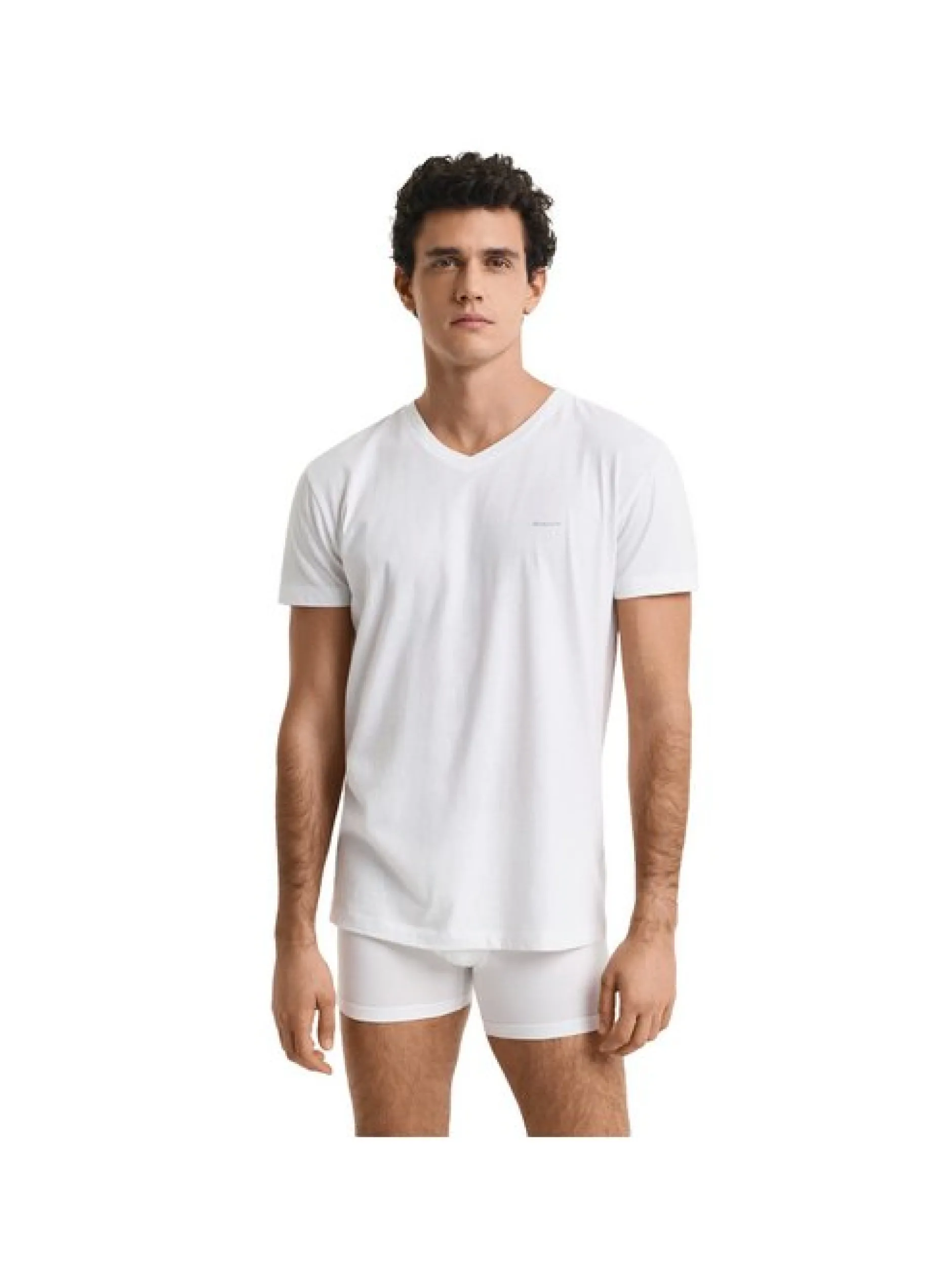 Gant Herren T-Shirt 4er Pack in mehrfarbig