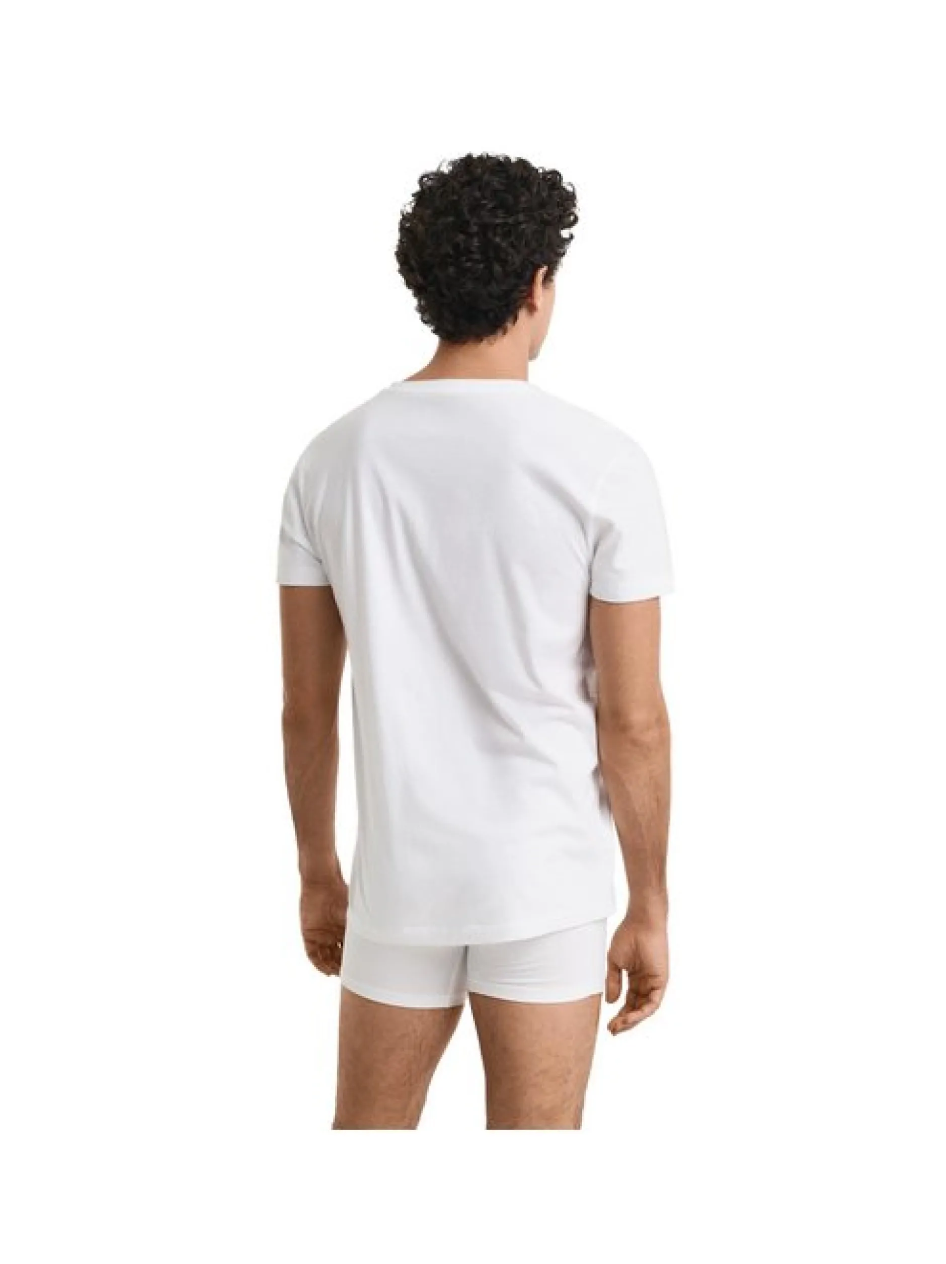 Gant Herren T-Shirt 4er Pack in mehrfarbig