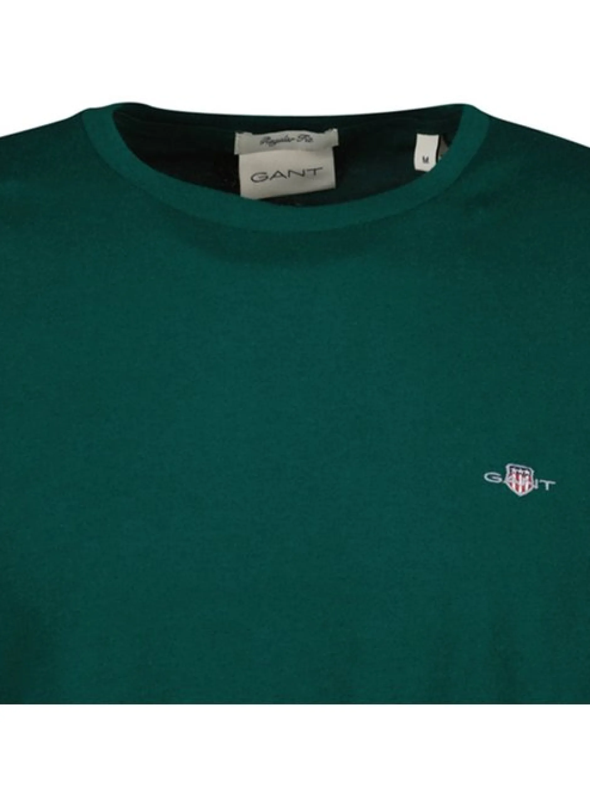 Gant Herren T-Shirt in grün - Ausschnitt: Rundhals