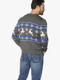 Jan Vanderstorm Herren Pullover - TORE in grau