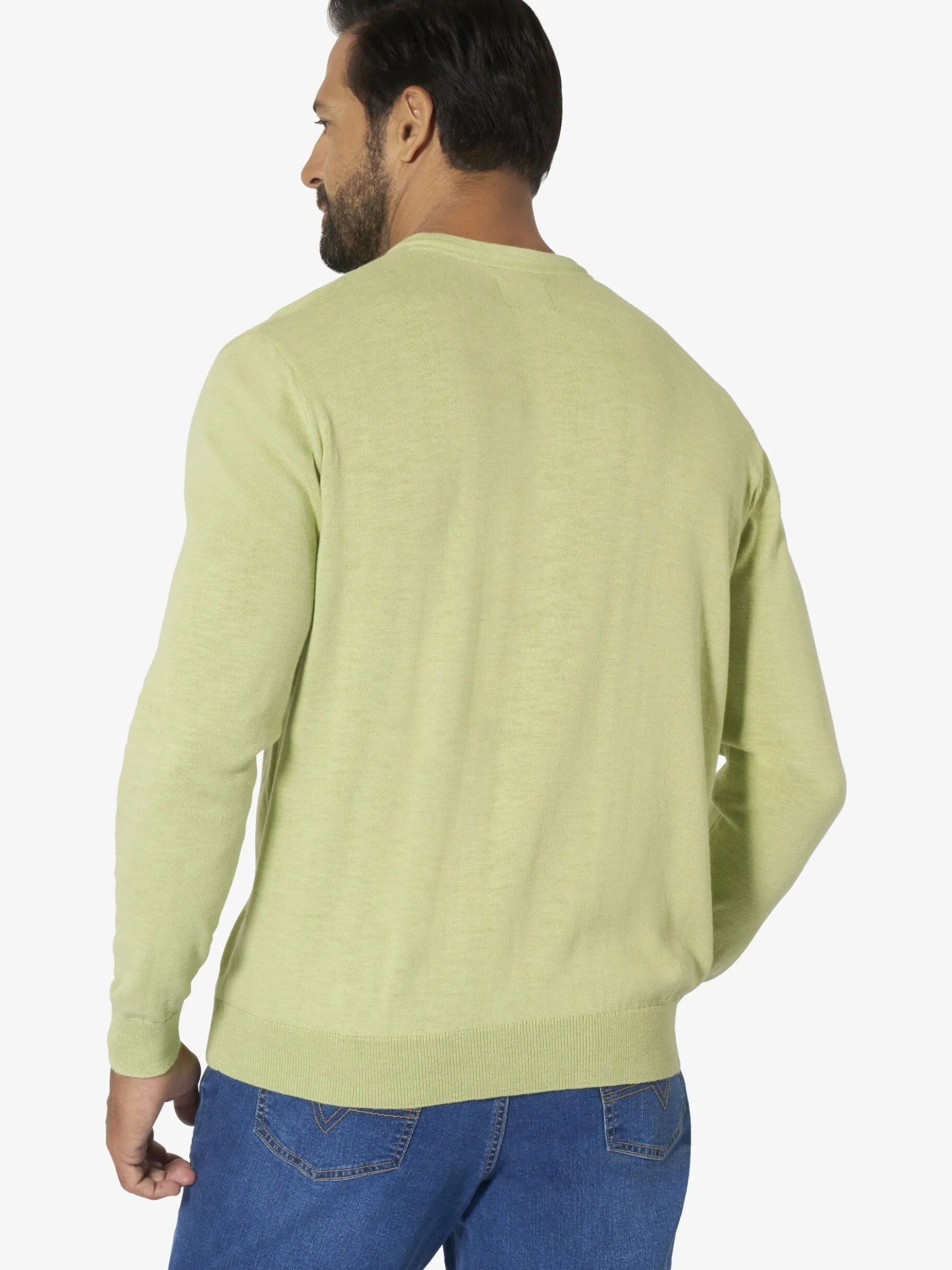 Jan Vanderstorm Herren Pullover - ENDRICH in lind