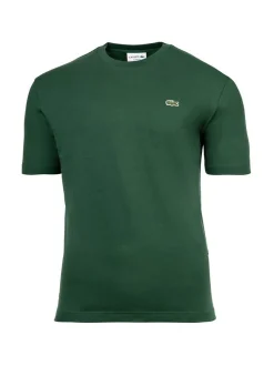 Lacoste Herren T-Shirt in grün - Ausschnitt: Rundhals