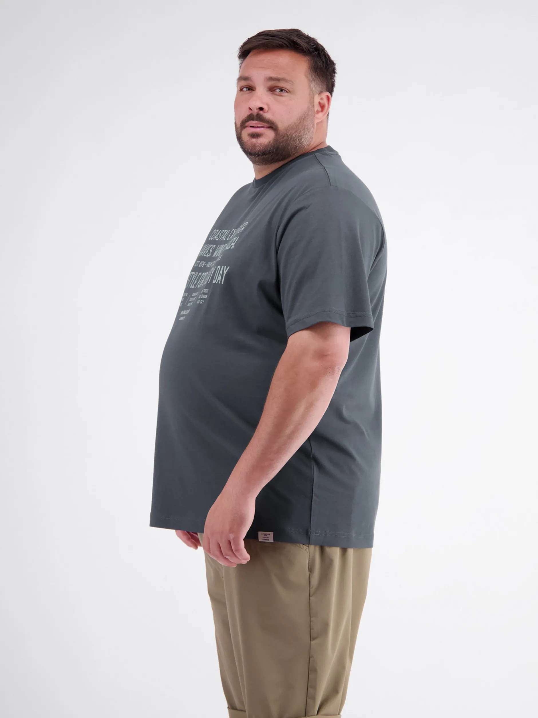 LERROS Herren Rundhalsshirt in grau