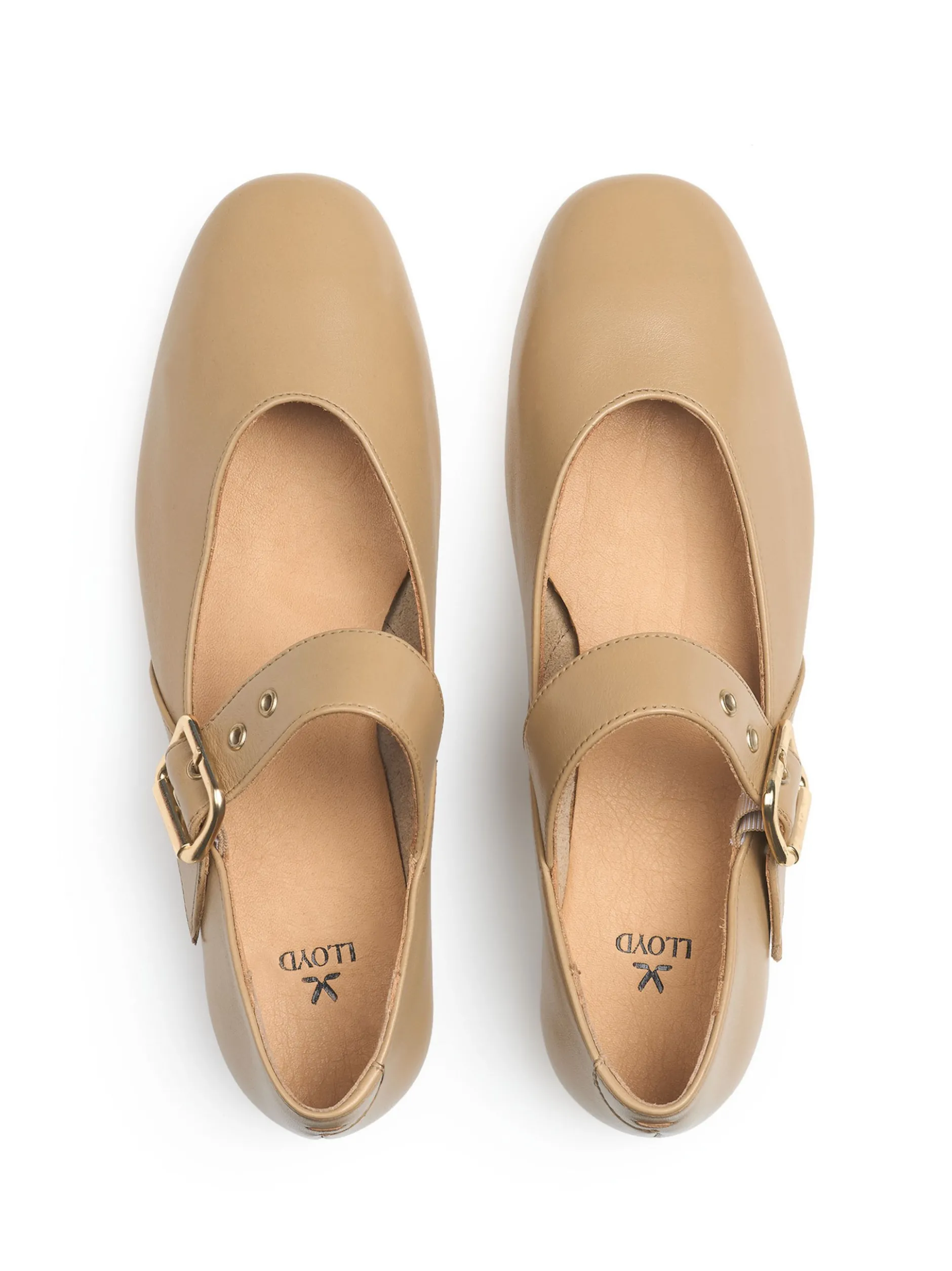 Lloyd Damen Ballerina in beige - 0,5 cm Absatz