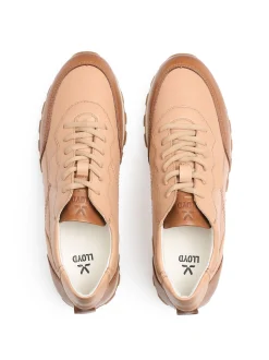 Lloyd Damen Sneaker in cognac - 1,0 cm Absatz