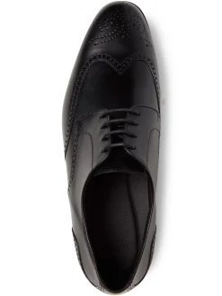 Lloyd Herren Schnürschuhe aus Leder - Giuseppe in schwarz