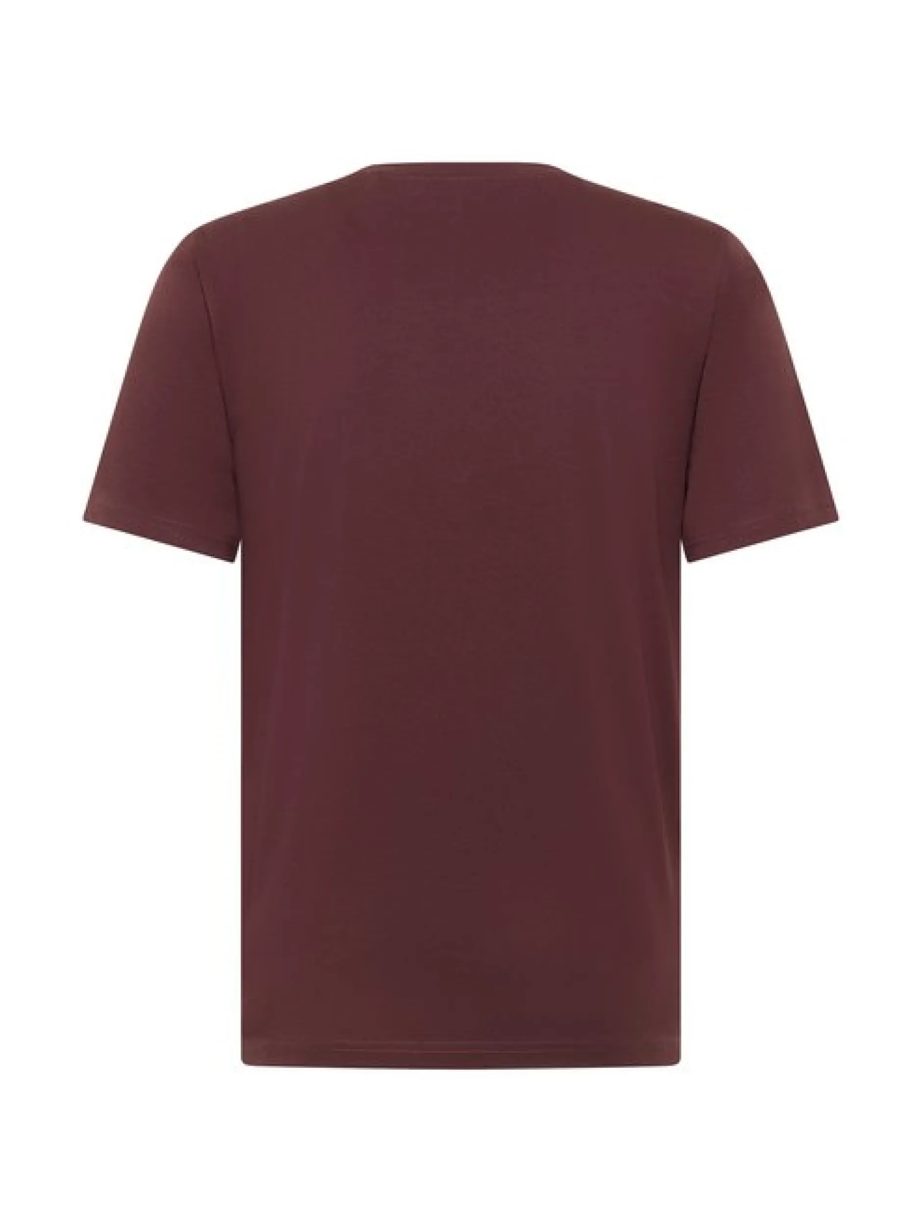 Mustang Herren T-Shirt in braun - Ausschnitt: Rundhals