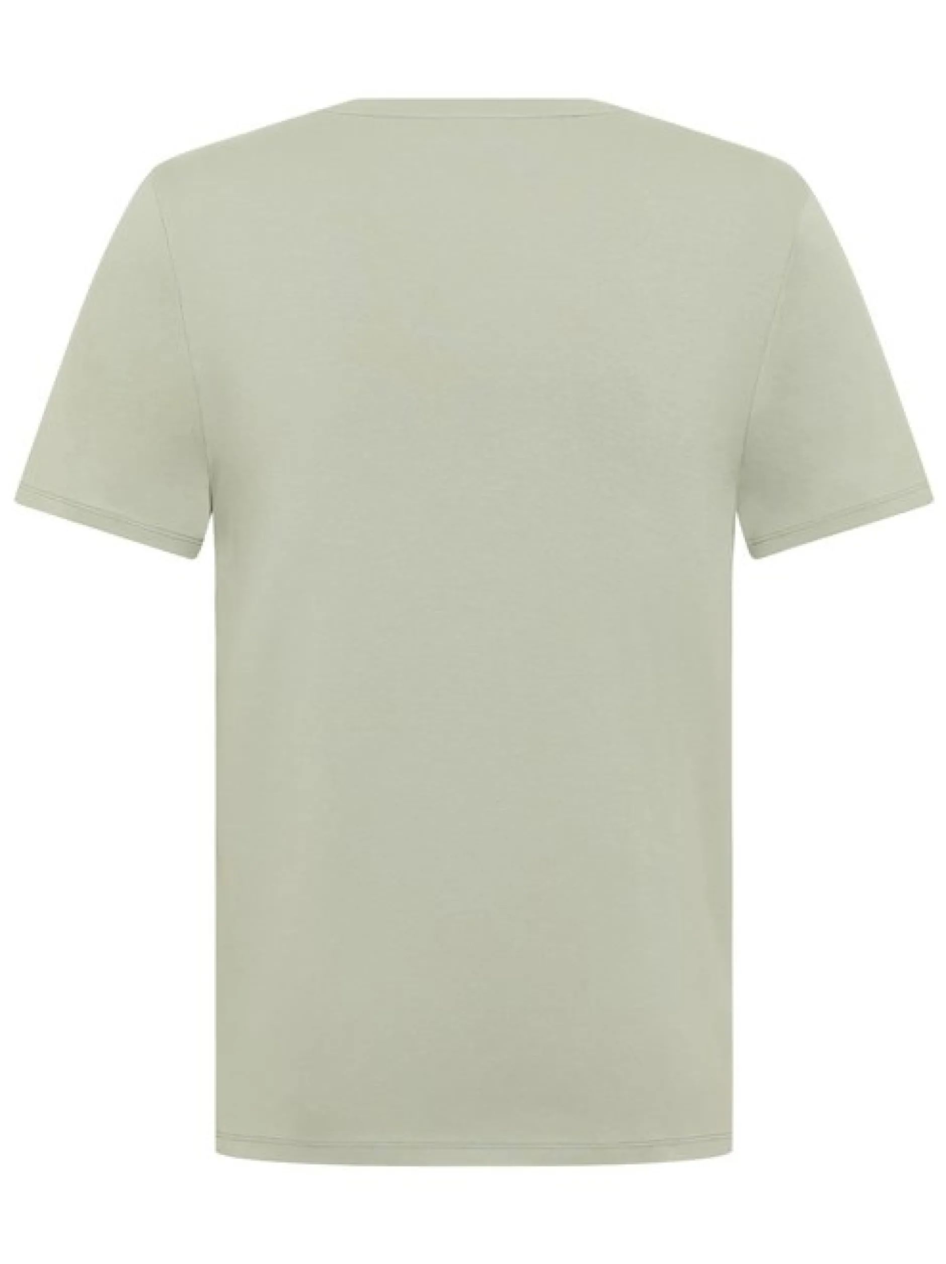 Mustang Herren T-Shirt in grün - Ausschnitt: Rundhals