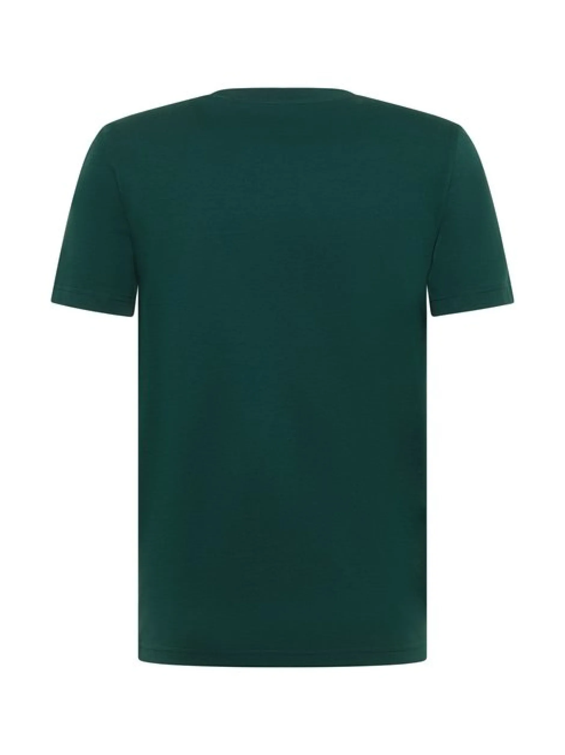 Mustang Herren T-Shirt in grün - Ausschnitt: Rundhals