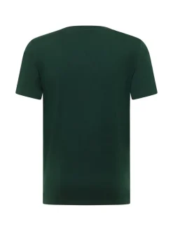 Mustang Herren T-Shirt in grün - Ausschnitt: Rundhals