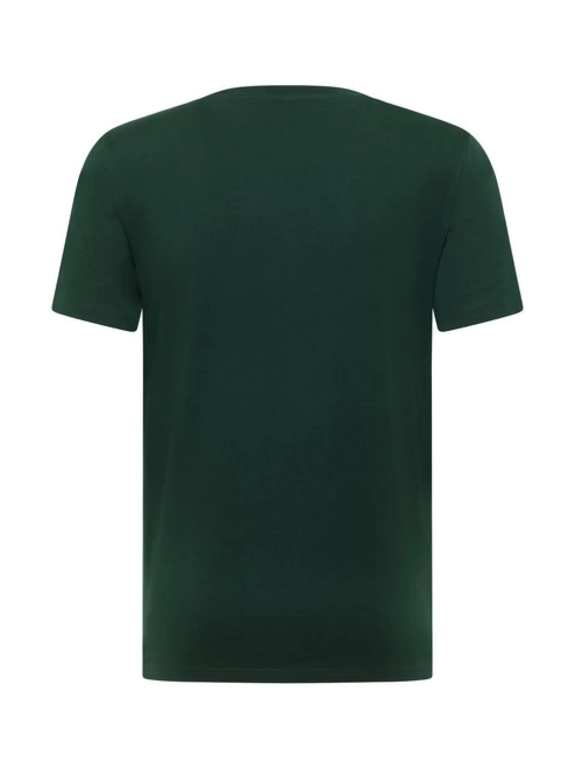 Mustang Herren T-Shirt in grün - Ausschnitt: Rundhals