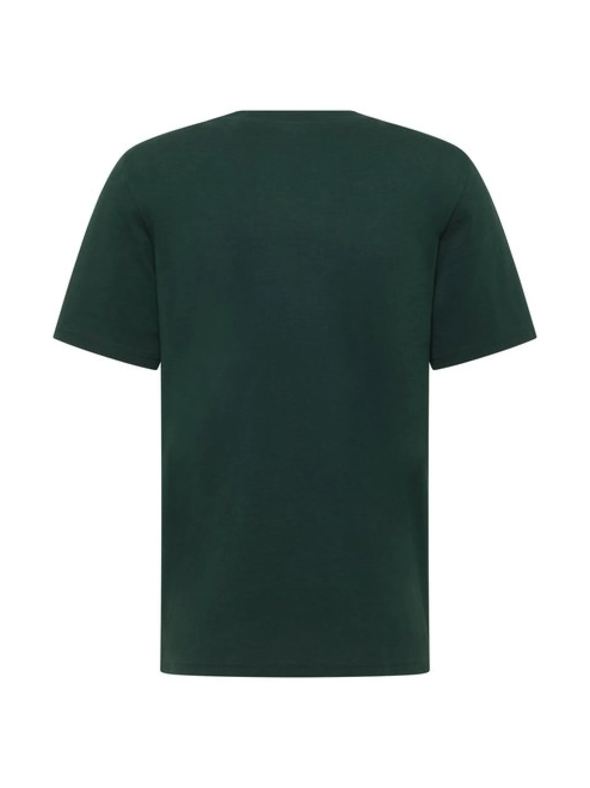 Mustang Herren T-Shirt in grün - Ausschnitt: Rundhals