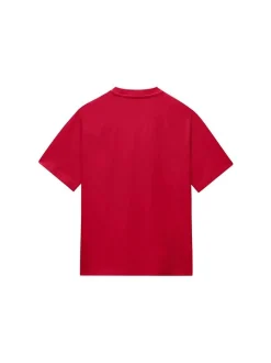 Napapijri Herren T-Shirt in rot - Ausschnitt: Rundhals