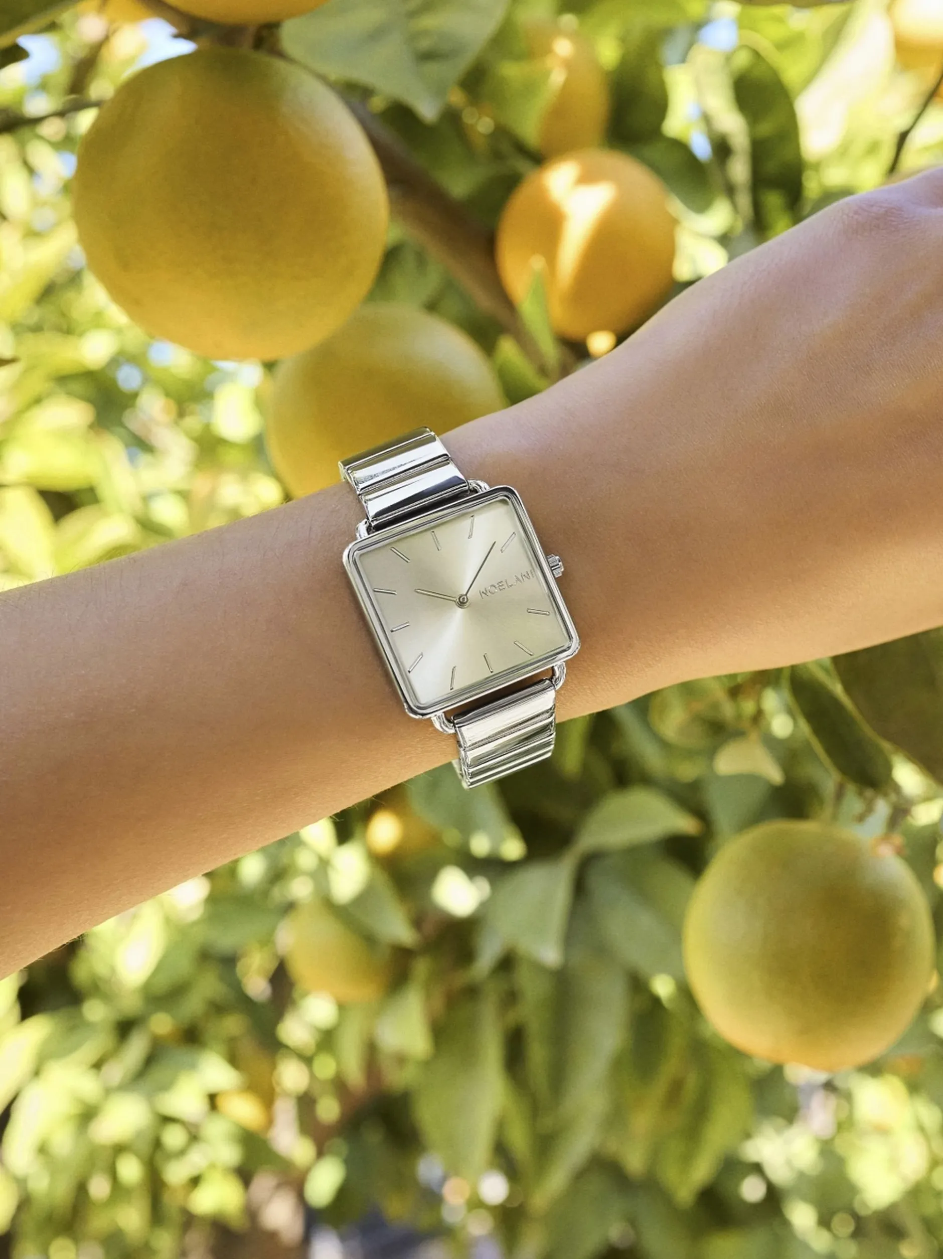 NOELANI Damen Quarzuhr in silber