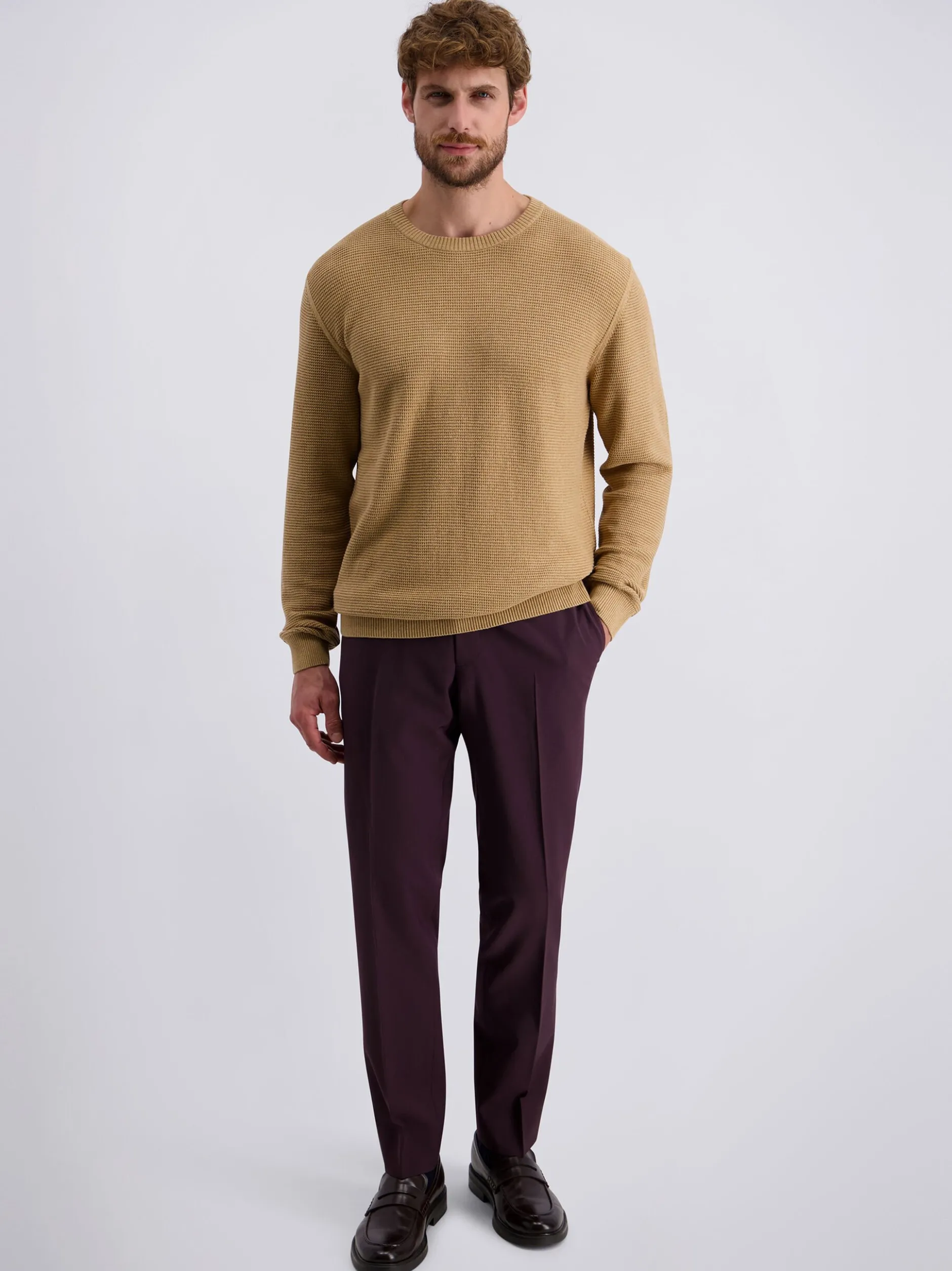 Pierre Cardin Herren Pullover in beige - Ärmel: langarm