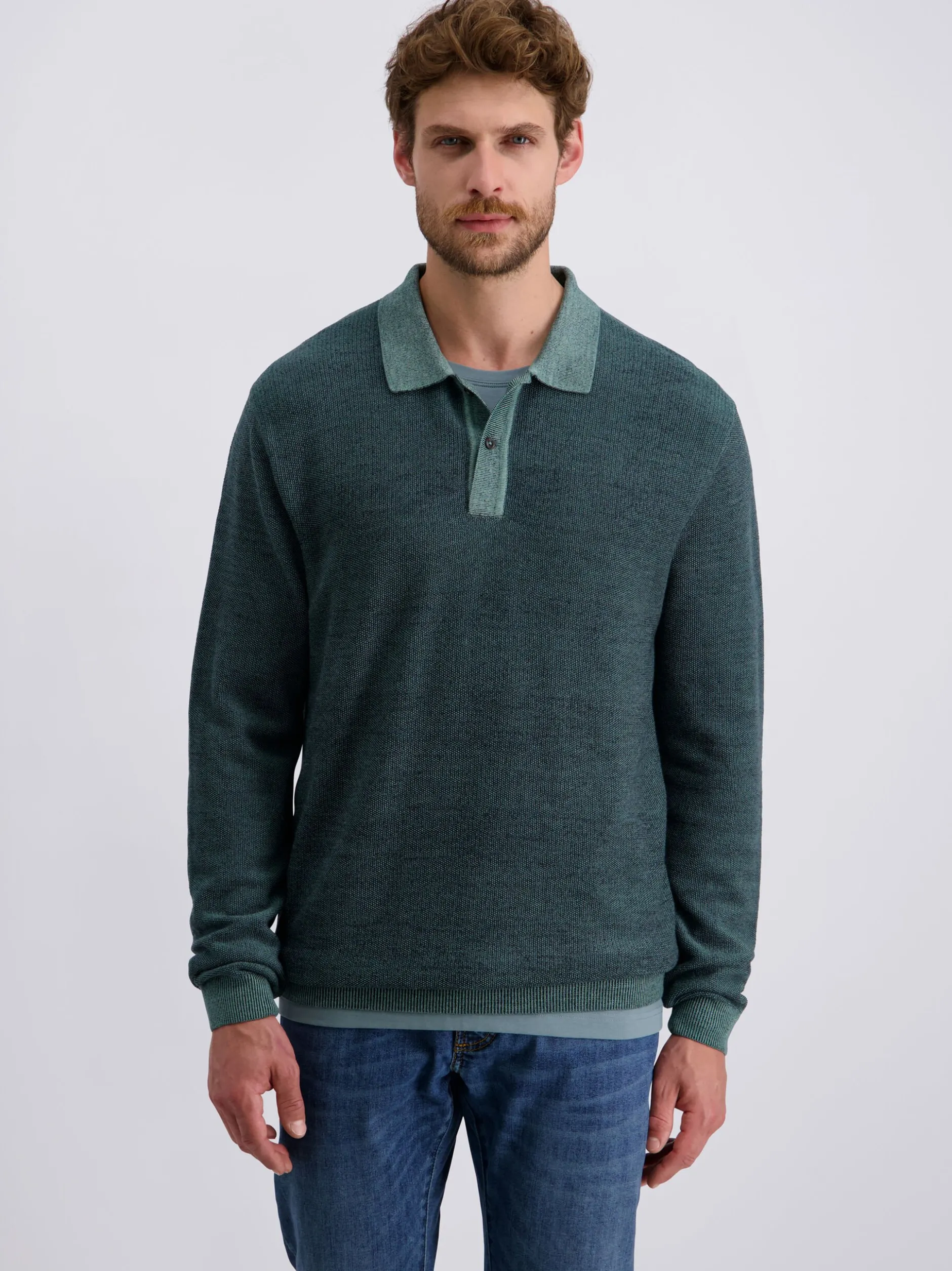 Pierre Cardin Herren Pullover in grün - Ärmel: langarm