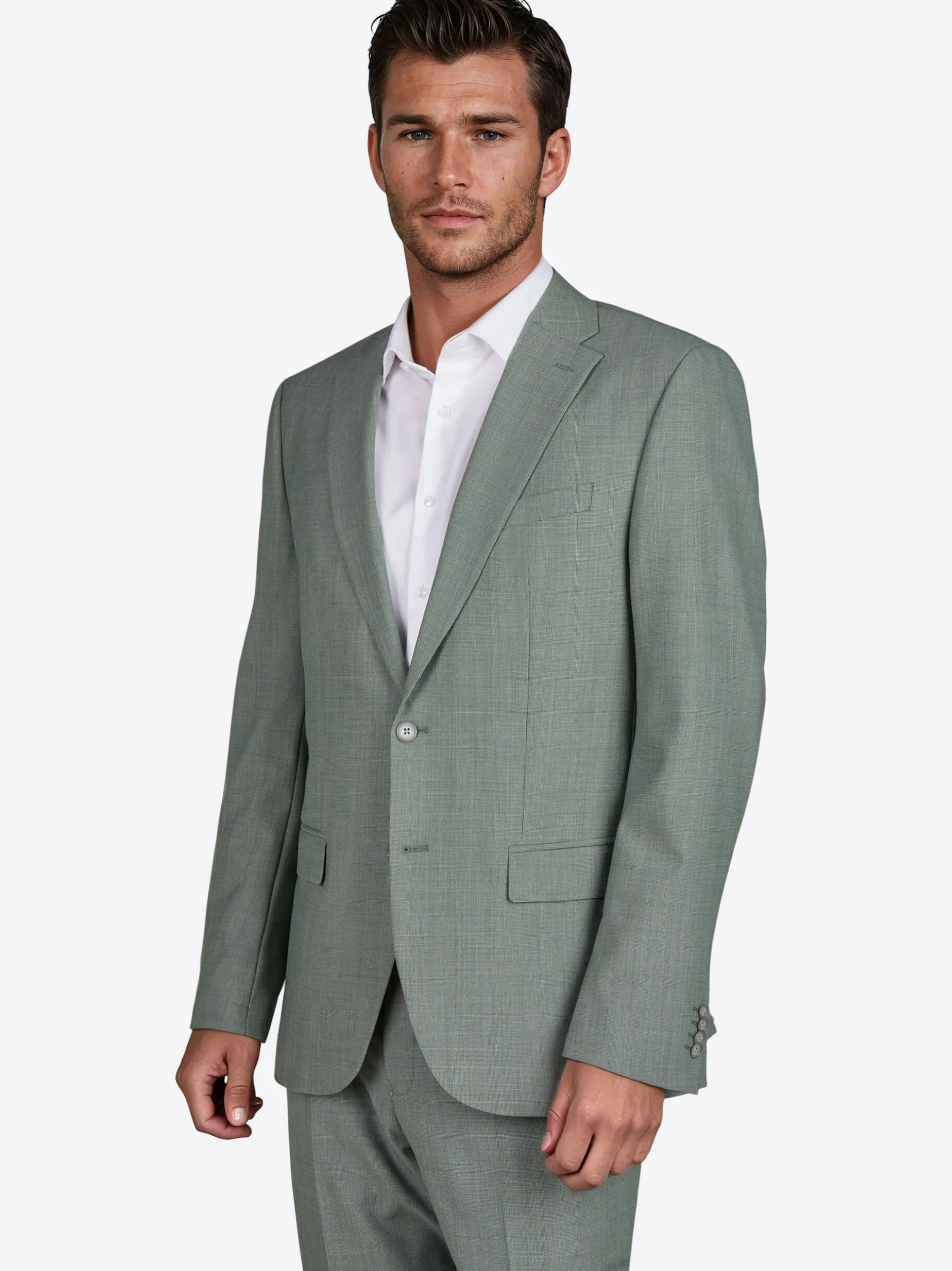 Pierre Cardin Herren Sakko Grant in schilf