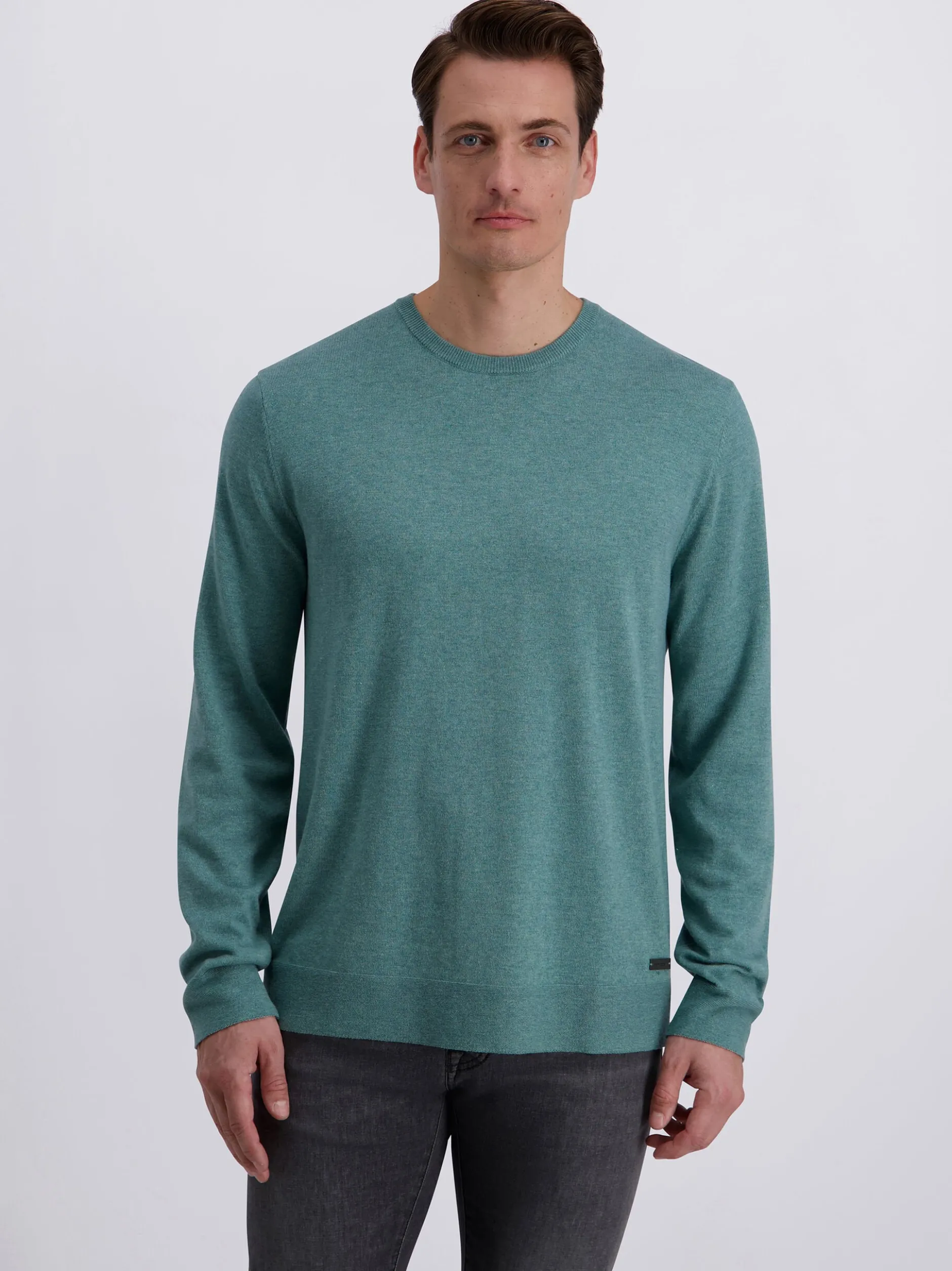 Pierre Cardin Herren Strickpullover in grün
