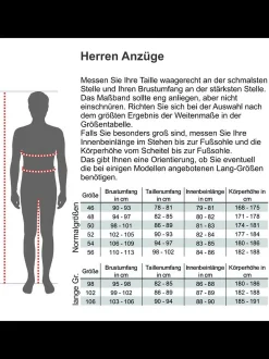 Steffen Klein Herren Anzug - Slim Fit in grau