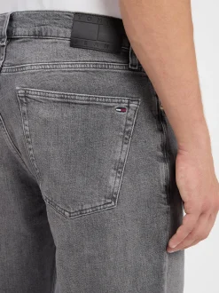 Tommy Jeans Herren Jeans - Ryan Slim Straight in grau