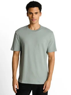 Tom Tailor Denim Herren T-Shirt in mint - Ärmel: kurzarm
