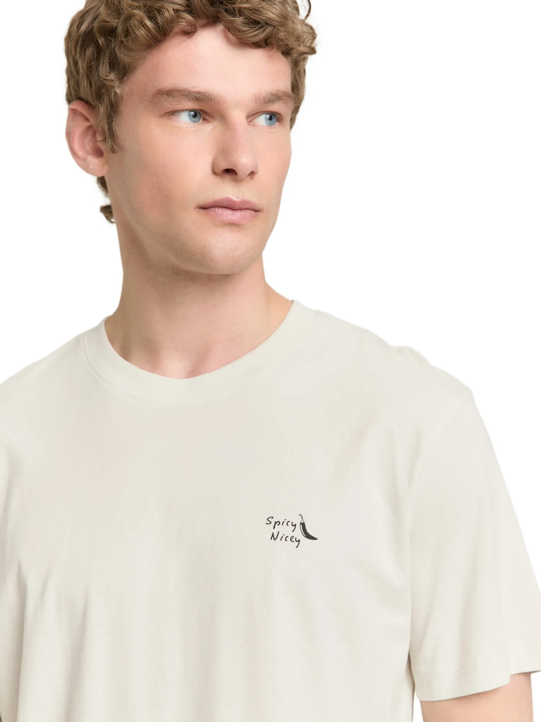 Tom Tailor Denim Herren T-Shirt in ecru - Ärmel: kurzarm