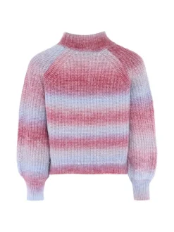 Usha Damen Pullover in mehrfarbig