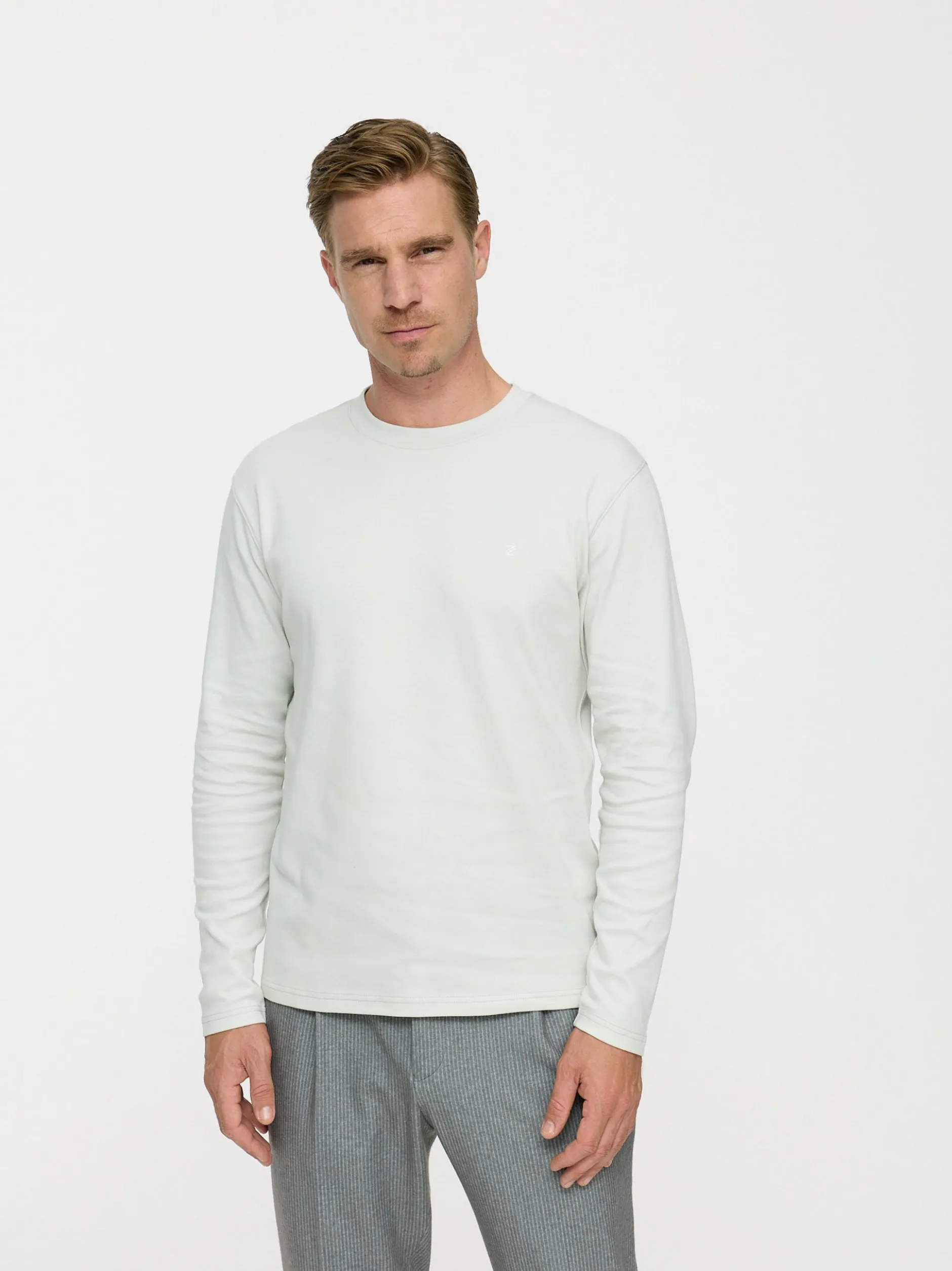 Zuitable Herren Langarmshirt -DiOwen in hellgrau